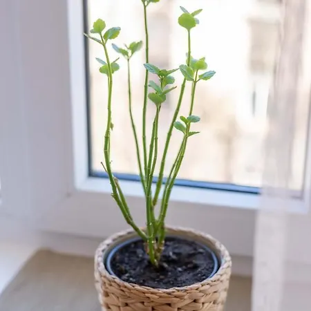 Valdemara Design In Center Riga