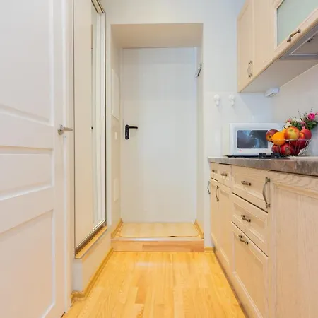 アパート Valdemara Design In Center リガ