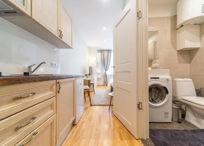 Apartment Valdemara Design In Center